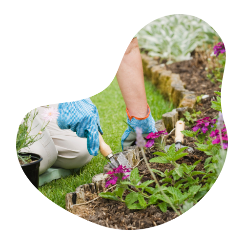 NDIS cleaning and gardening